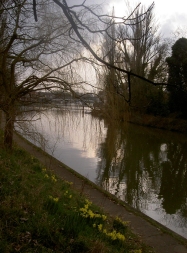 Cross country with
                    beautiful scenery